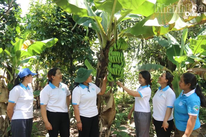 Phụ nữ xã Đông Khánh Sơn chia sẻ kinh nghiệm trồng trọt, giúp nhau phát triển kinh tế.