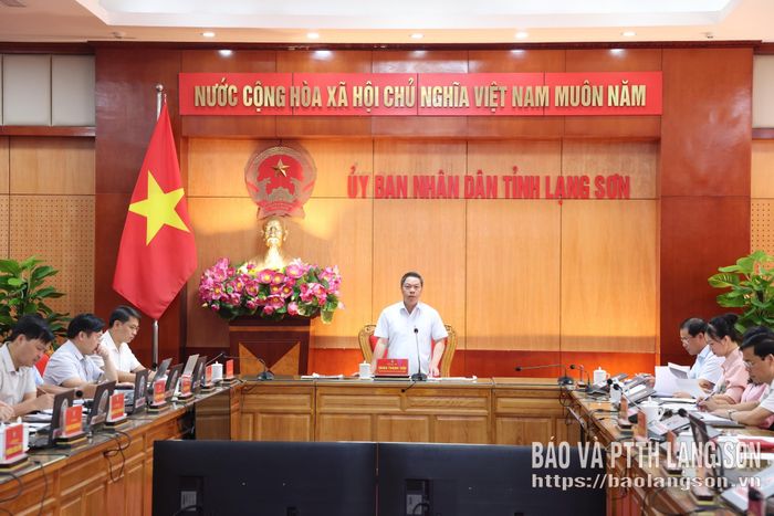 Đồng chí Đoàn Thanh Sơn, Phó Chủ tịch UBND tỉnh phát biểu kết luận tại cuộc họp