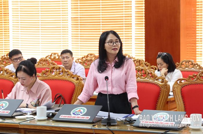 Lãnh đạo Sở Văn hoá, Thể thao và Du lịch phát biểu tại cuộc họp
