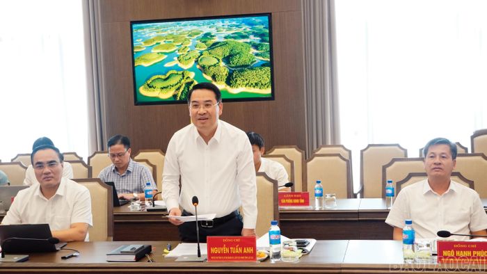Đồng chí Nguyễn Tuấn Anh, Phó Bí thư Tỉnh ủy, Chủ tịch UBND tỉnh, Bí thư Đảng ủy UBND tỉnh phát biểu tại buổi làm việc.