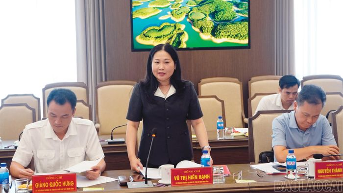 Đồng chí Vũ Thị Hiền Hạnh - Phó Chủ tịch UBND tỉnh phát biểu tại buổi làm việc.