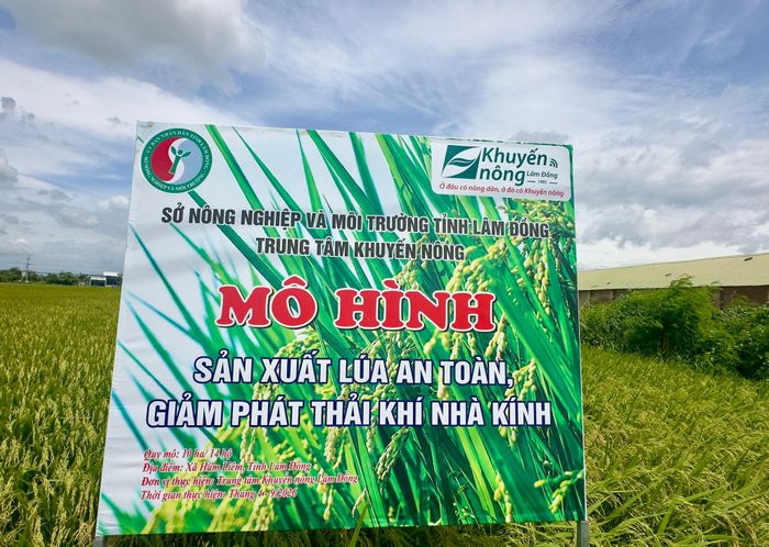Mô hình được triển khai từ tháng 4 đến tháng 9/2026.
