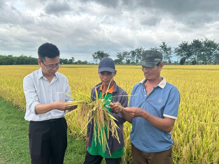 Ông Nguyễn Đức Thiên, Phó Giám đốc Trung tâm Khuyến nông tỉnh (ngoài cùng bên trái) nghiệm thu mô hình tại xã Hàm Thuận Bắc