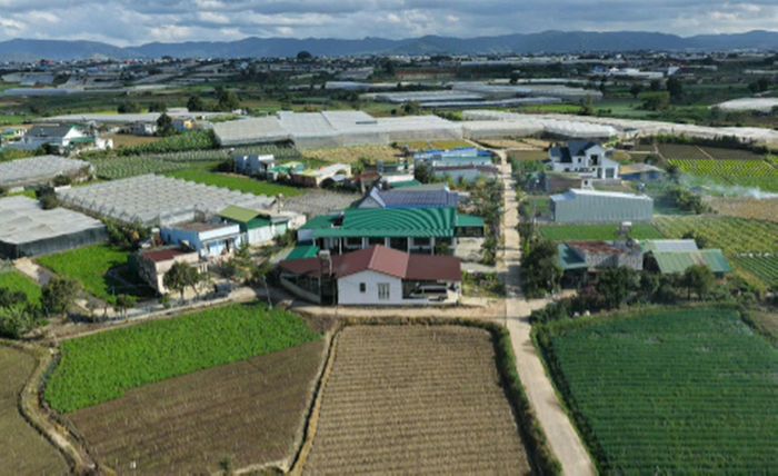 Mạng lưới giao thông nội đồng vùng nông nghiệp đã cơ bản được cứng hóa nhưng vẫn còn nhỏ hẹp