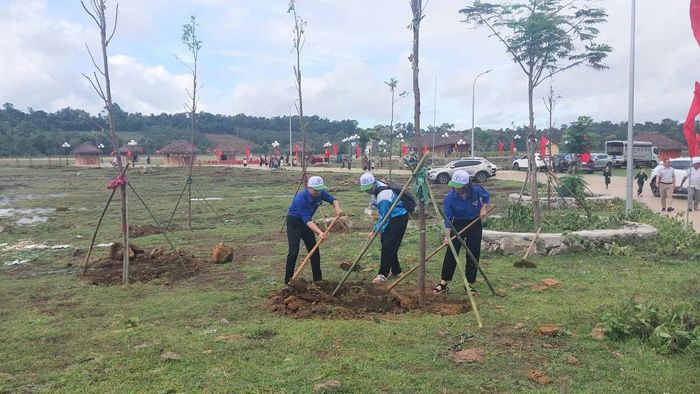 Dịp 19/5/2026, toàn xã Nhân Cơ đã trồng được khoảng 1.000 cây xanh phân tán