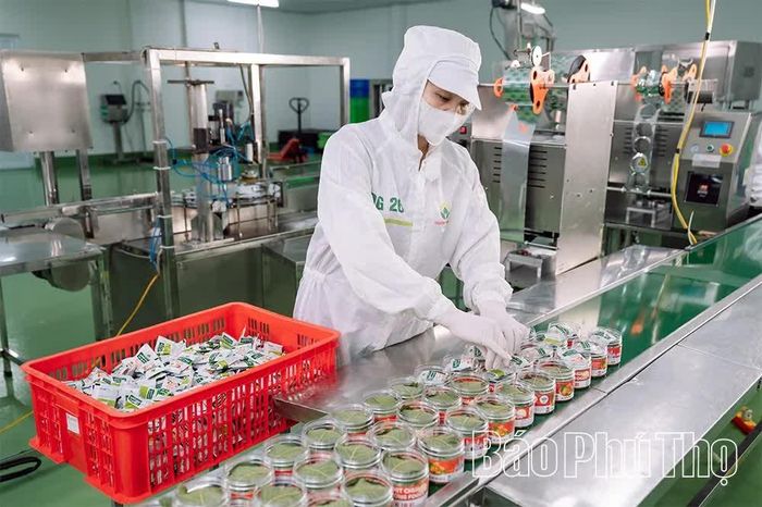 Trường Foods đã từng bước hoàn thiện quy trình sản xuất theo hướng chuyên nghiệp.