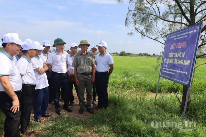 Xã Lệ Thủy tổ chức đoàn tham quan mô hình sản xuất nông nghiệp hữu cơ nhằm nghiên cứu, áp dụng vào điều kiện thực tiễn của địa phương - Ảnh: H.C