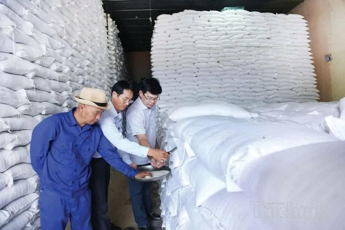 Chi cục Dự trữ Nhà nước khu vực II đấu giá bán hơn 12.000 tấn gạo dự trữ quốc gia nhập kho năm 2025. Ảnh: Đức Minh