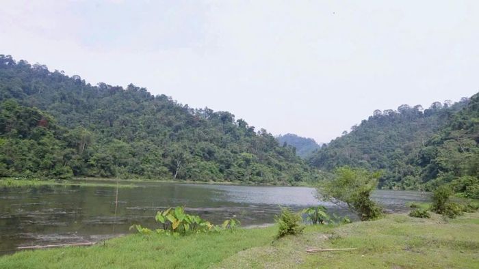 Tổng diện tích đất lâm nghiệp của xã Bình An vào khoảng 10.400 ha, chiếm trên 85% diện tích tự nhiên