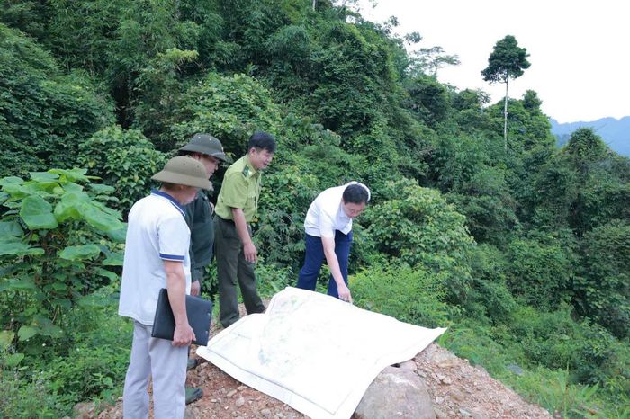 Xã Bình An rà soát phân 3 loại rừng tại địa phương