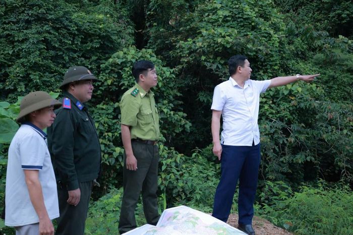 Công tác quản lý, bảo vệ và phát triển rừng tại Bình An được quan tâm, chú trọng ↵