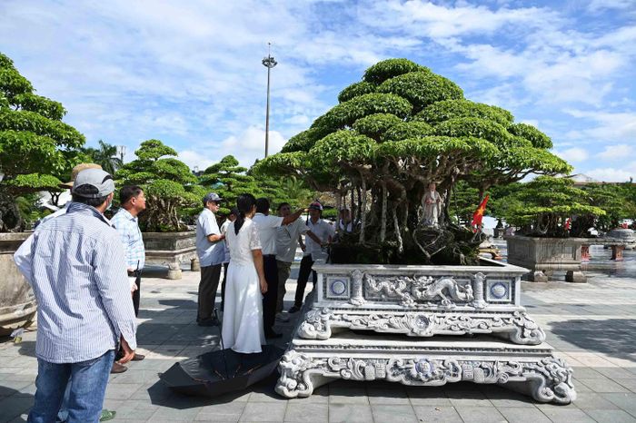 Các đại biểu thưởng lãm các tác phẩm sinh vật cảnh tại triển lãm.