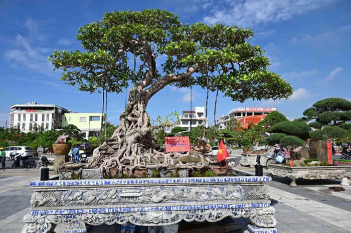 TÁC PHẨM LONG VÂN PHƯỢNG VŨ- NHGEEJ NHÂN NGUYÊN VĂN TƯ NÚI THÀNH - ĐÀ NẴNG