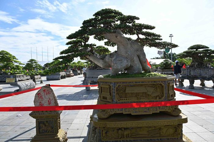  TÁC PHẨM TÂY SƠN THẦN VŨ- NHÀ VƯỜN TIẾN HUỲNH