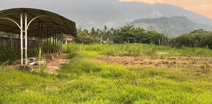 Khuôn viên Dự án Nhà máy xi măng Nam Đông.