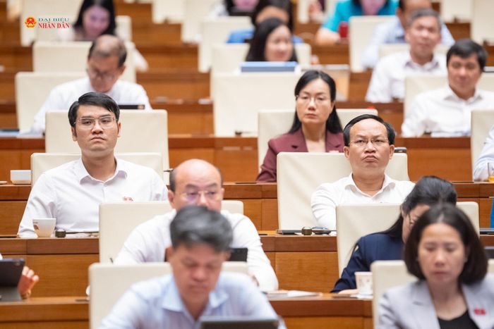 Các đại biểu dự phiên họp toàn thể của Quốc hội về dự án Luật Phòng, chống phổ biến vũ khí hủy diệt hàng loạt. Ảnh: Phạm Thắng