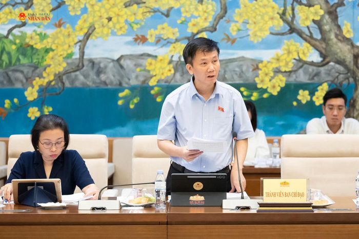 Phó Chủ nhiệm Ủy ban Văn hóa và Xã hội Lâm Văn Đoan phát biểu
