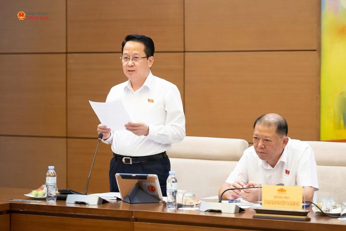 Phó Chủ nhiệm Ủy ban Dân nguyện và Giám sát Hoàng Anh Công phát biểu
