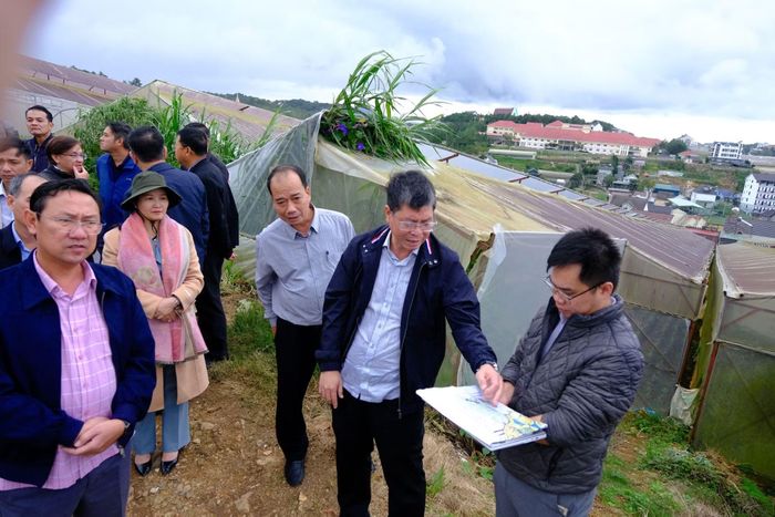 Phó Chủ tịch UBND tỉnh Lâm Đồng Nguyễn Hồng Hải khảo sát thực tế tại phường Langbiang - Đà Lạt về công tác quy hoạch.