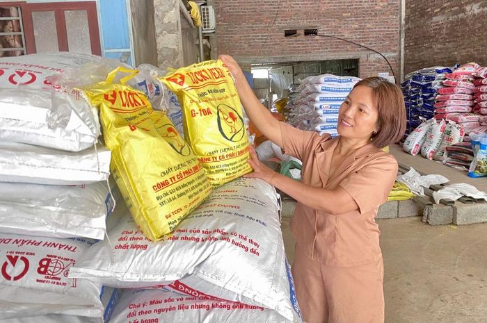 Gia đình ông Bế Văn Thuỵ, xóm Nà Vạc, xã Trường Hà đầu tư kinh doanh các mặt hàng nông sản, thức ăn chăn nuôi và phân bón, góp phần tăng nguồn thu, nâng cao hiệu quả kinh tế.