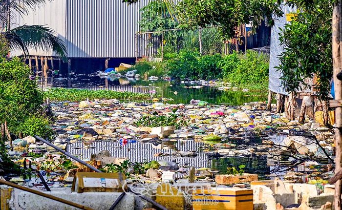 Kênh Phước Thời (theo cách gọi của người dân địa phương) - tuyến nhánh ra kênh Bà Cai (Khóm 5, Phường Lý Văn Lâm) ngập rác thải, môi trường nước ô nhiễm nghiêm trọng kéo dài.
