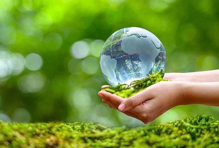 Ảnh minh họa được tạo bởi AI