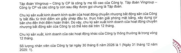 Công ty con Vingroup lãi 11.231 tỷ đồng trong nửa đầu năm.