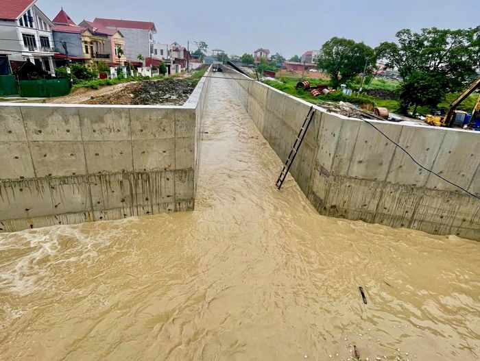 Kênh dẫn trạm bơm Tân Hưng. Ảnh: Tùng Nguyễn.