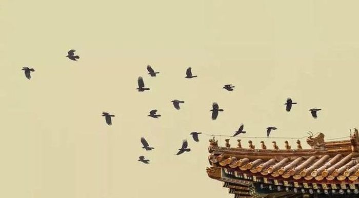 Đặc điểm kiến trúc của Tử Cấm Thành đóng vai trò quan trọng trong việc thu hút loài quạ