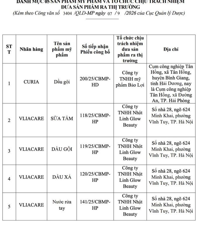 Danh sách sản phẩm dầu gội, dầu xả, sữa tắm, nước rửa tay bị Cục Quản lý Dược thu hồi, đình chỉ lưu ảnh và tiêu huỷ. Ảnh chụp màn hình.
