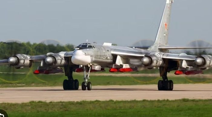 Khi kết hợp với tên lửa hành trình tầm xa, Tu-95MS trở thành một hệ thống gồm 2 thành phần. Máy bay đưa vũ khí đến khu vực phóng. Tên lửa đảm nhiệm phần lớn quãng đường còn lại.