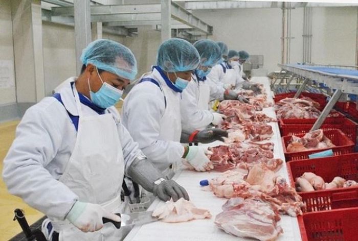 8 tháng đầu năm 2026 sản phẩm chăn nuôi đạt 511,9 triệu USD, tăng 30%. Ảnh: Chu Khôi
