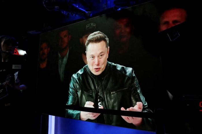  CEO SpaceX Elon Musk hồi tháng 6. Ảnh: Reuters. 
