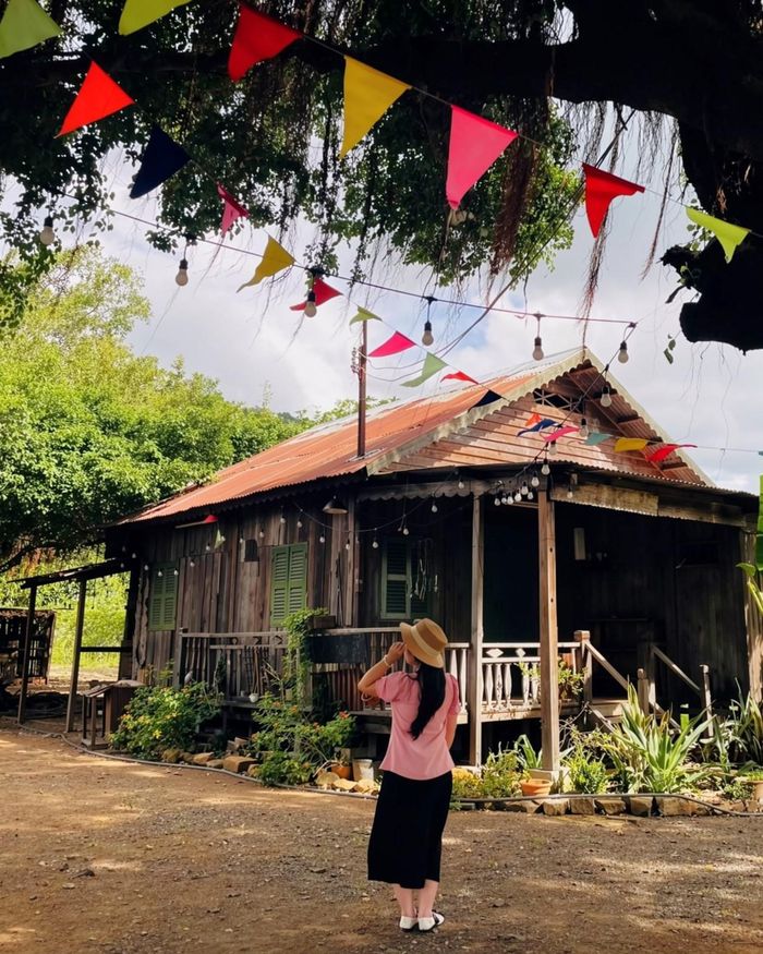 Tuyết Nhung (Tây Ninh) tìm đến chụp ảnh sau khi xem bộ phim. Cô cho biết ngôi nhà không tạo cảm giác cũ kĩ hay nặng tính bối cảnh, mà mang lại sự ấm cúng, gợi không khí của một gia đình nhiều thế hệ. Thay vì chỉ nhìn qua màn ảnh rộng, cảm giác đứng vào không gian xuất hiện trong bộ phim như đưa mình vào câu chuyện của 2 nhân vật chính. Ảnh: Tuyết Nhung.