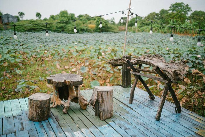 Nhiếp ảnh gia Dương Quang Trí (41 tuổi, sống tại Hòa Thành, Tây Ninh) là một trong những người đầu tiên thực hiện bộ ảnh về "nhà ông nội". Anh miêu tả ngôi nhà mang vẻ đẹp mộc mạc, không khí yên tĩnh. Từ đồ đạc đến tấm dán tường đều có câu chuyện. Dưới góc nhìn nhiếp ảnh, mỗi góc nhỏ trong ngôi nhà đều có cảm xúc riêng, đứng ở đâu cũng có ảnh đẹp. "Hiện xu hướng chụp ảnh hoài niệm cũng đang được người trẻ yêu thích, đó là lý do ngôi nhà nhanh chóng thu hút sự chú ý", Trí nói với Tri Thức - Znews. Ảnh: Trí Dương.