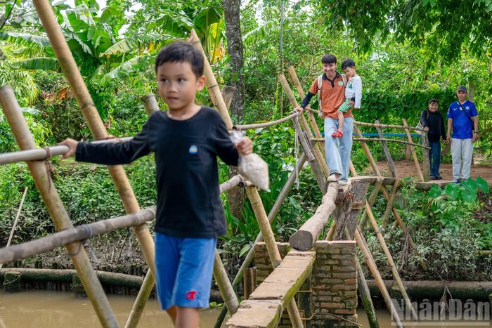 Tham quan Cồn Sơn, du khách được trải nghiệm cảm giác chênh vênh, khi đi qua con mương nhờ chiếc cầu khỉ bắc bằng một hai cây tre.