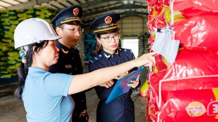 Cơ quan hải quan kiểm tra hàng hóa xuất nhập khẩu tại khu vực tập kết hàng. (Ảnh: CHQ)