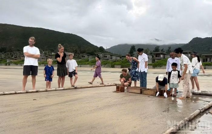 Du khách quốc tế xem thả rùa biển con về biển. (Ảnh: LÊ ĐÌNH THÌN)