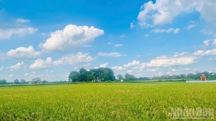 Đất đai là nguồn lực quan trọng trong phát triển kinh tế đất nước. (Ảnh: H. NGUYÊN)