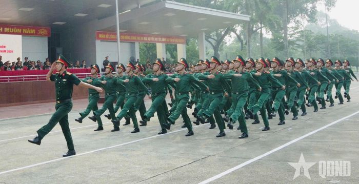 Đội mẫu thực hiện động tác đi đều, đi nghiêm theo điều lệnh hiện hành và nội dung sửa đổi.