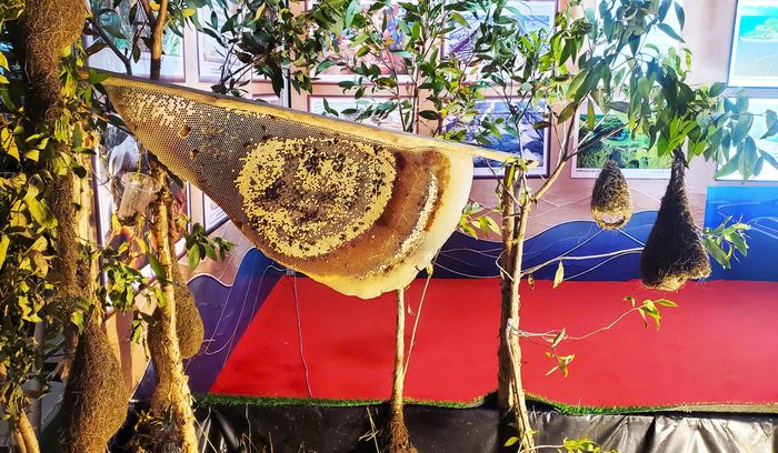  Tiểu cảnh nghề gác kèo ong ở không gian triển lãm Cà Mau 