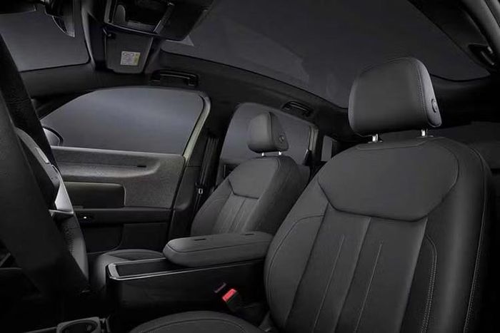 Bộ pin 61 kWh tùy chọn đi kèm mô-tơ điện mạnh 187 mã lực, rút ngắn thời gian tăng tốc 0-100 km/h xuống còn 7,9 giây và nâng phạm vi hoạt động lên 515 km. Với phiên bản có công suất tối đa 228 mã lực, thời gian tăng tốc 0-100 km/h giảm xuống đúng 7 giây, đồng thời tăng phạm vi hoạt động lên 645 km nhờ bộ pin 84 kWh.
