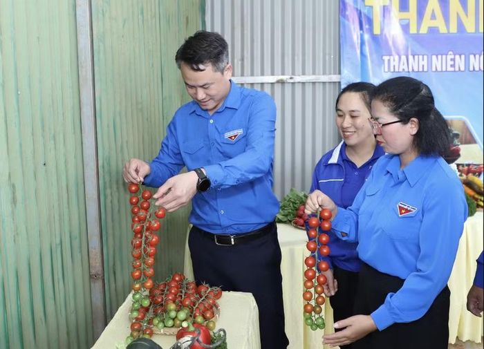 Nhiều mô hình nông nghiệp sạch được thanh niên phát huy.