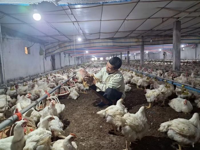 Thành phố định hướng tiếp cận đa chiều, tập trung phát triển sinh kế, nâng cao khả năng tự chủ của người nghèo.