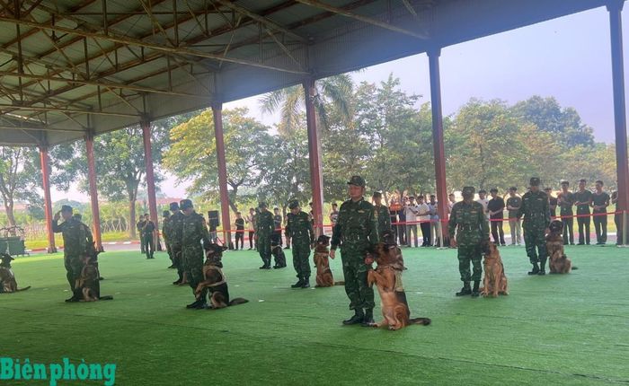 Các huấn luyện viên và chó nghiệp vụ tập luyện nội dung sẽ trình diễn tại triển lãm. Ảnh: Duy Khiêm