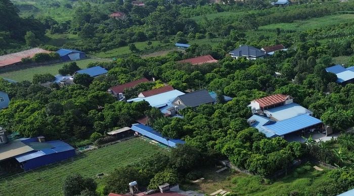 Một khu vực tại xã Đồng Hỷ (ảnh minh họa)