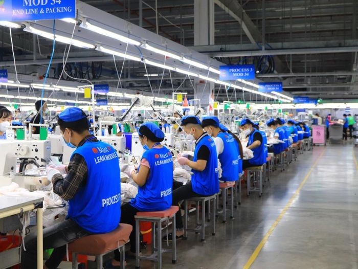 Khi lựa chọn thiết bị mới, Crystal Martin Việt Nam luôn tính đến hiệu quả sử dụng năng lượng, công ty lắp đặt 100% máy may có động cơ hiệu suất cao.