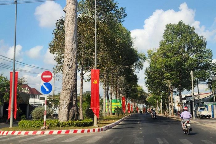 Công ty Công Minh trúng hàng loạt gói thầu bảo dưỡng, chăm sóc cây xanh trên địa bàn Trà Vinh. Ảnh: Chinhphu