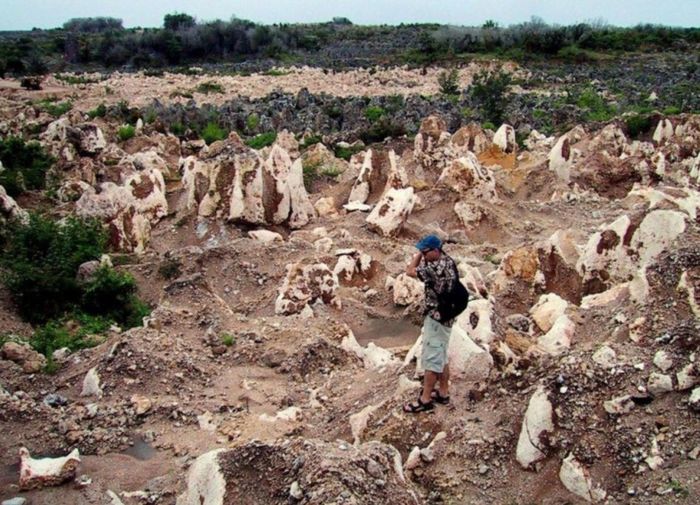Giờ đây, khi nguồn tài nguyên cạn kiệt, khu vực trung tâm Nauru chỉ còn là một vùng đất nham nhở, cằn cỗi. Ảnh: Ibtimes