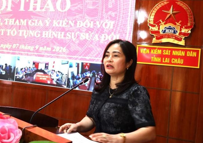 Đồng chí Tô Thị Hồng Lê, Chủ tịch Hội Luật gia tỉnh phát biểu thảo luận tại Hội thảo.